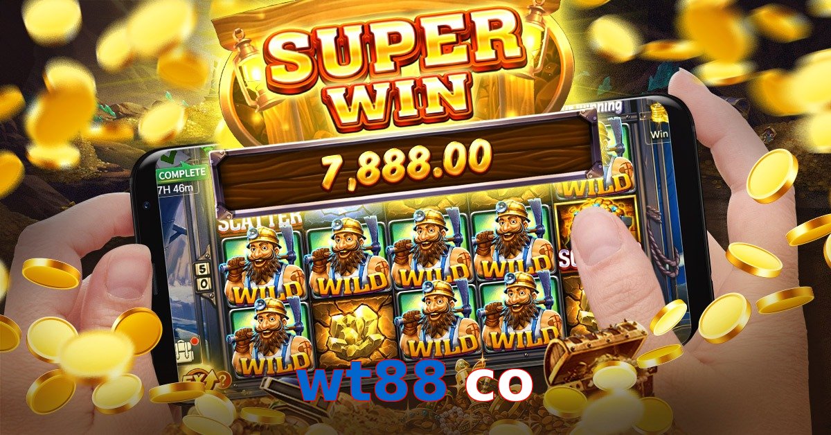 wt88 co