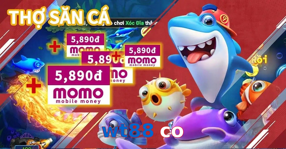 wt88 co