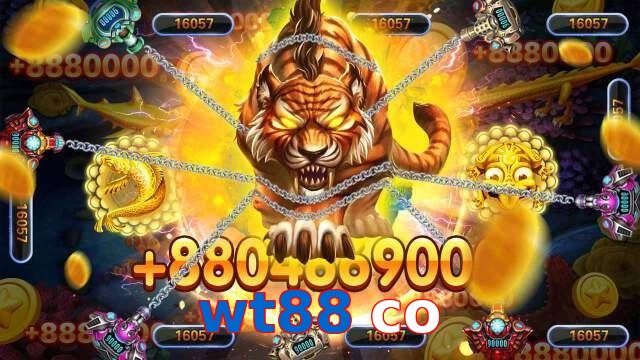 wt88 co