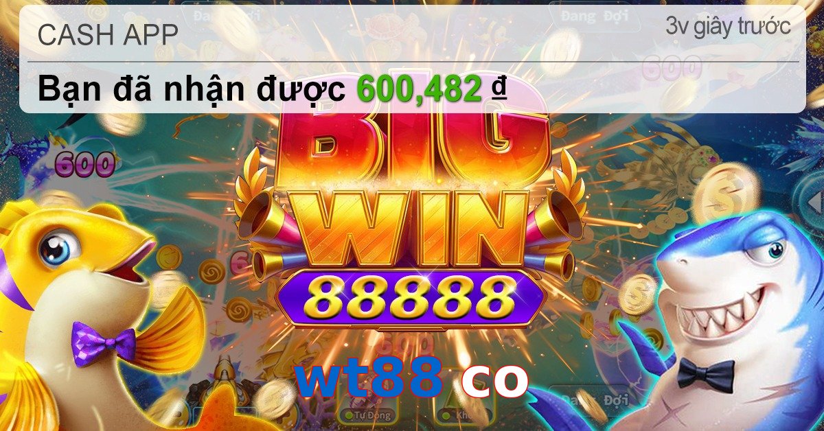 wt88 co