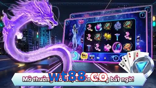 wt88 co