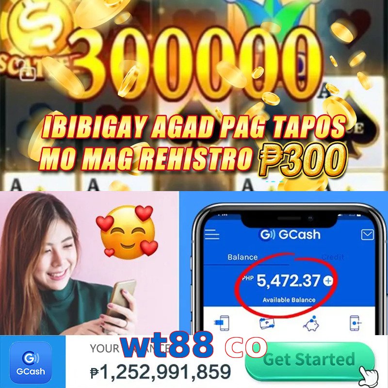 wt88 co