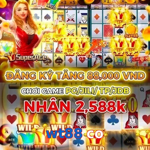 wt88 co