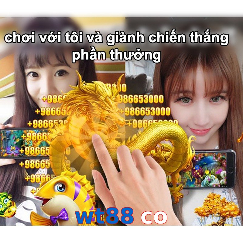 wt88 co