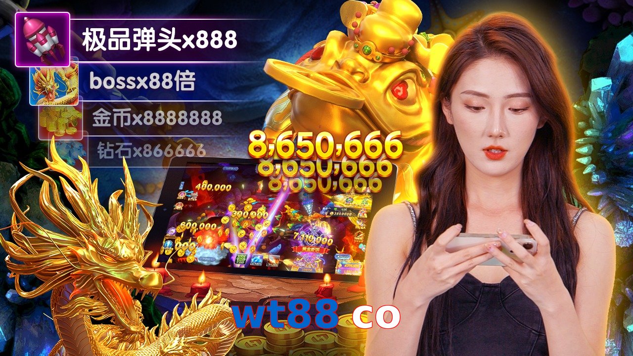 wt88 co